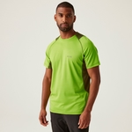 Grenoble Green Nephrite Green