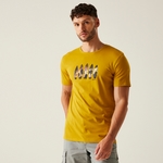 Mustard Surf Boards