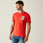 Poppy Red Cool Summer