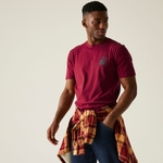Dark Maroon