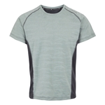 Glacier Ash