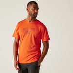 Tangerine Tango