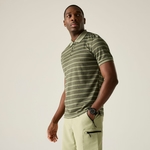 Light Sage Dark Khaki