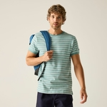 Arctic White Stripe 