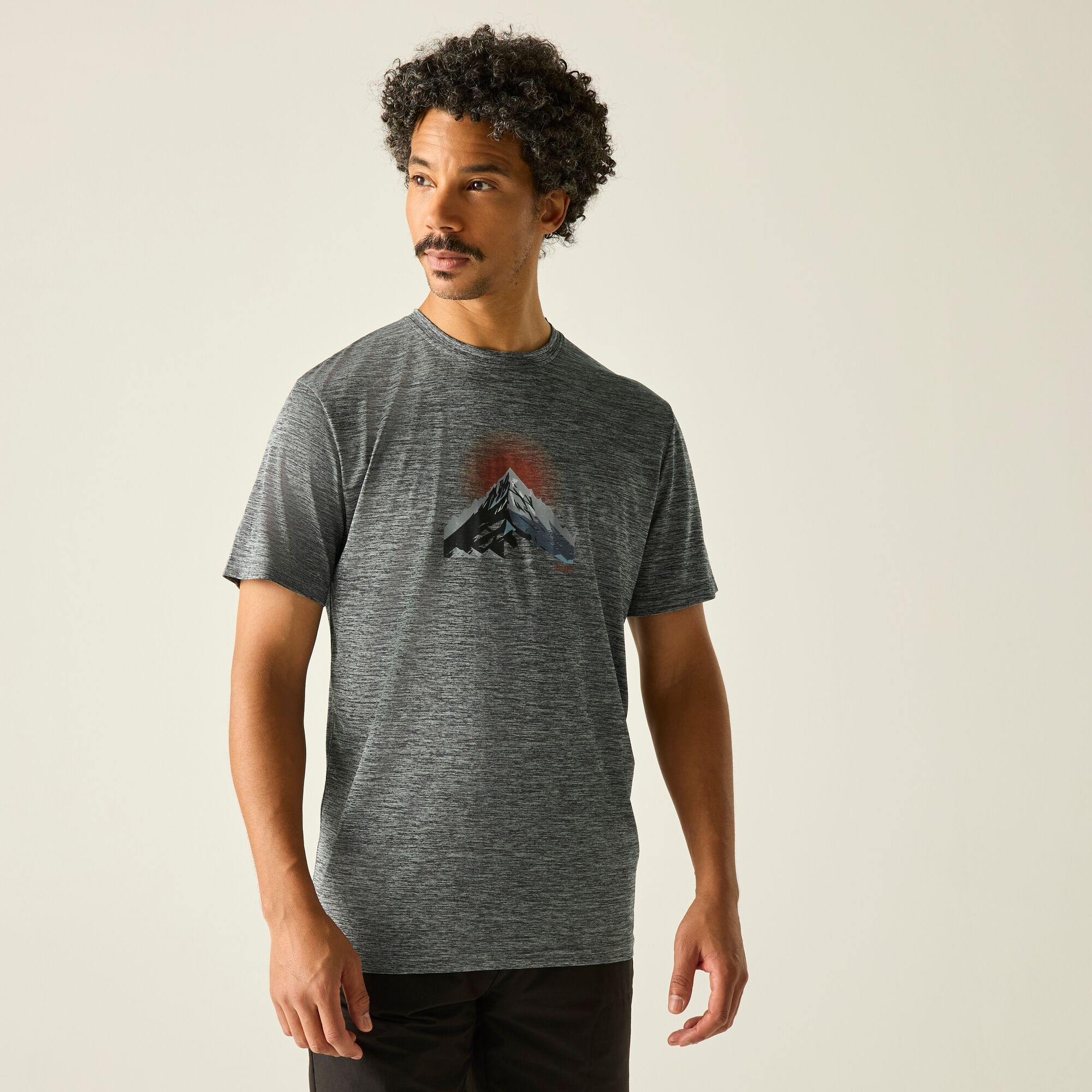 Regatta Regatta Koszulka męska Fingal Graphic Szary