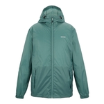 Arctic Green