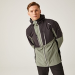 Agave Green Ash Black
