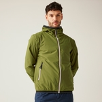 olive verte