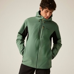 Dark Forest Green Black 
