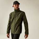 Olive Green
