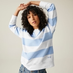 Chambray Blue White Stripe