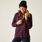Fig Purple