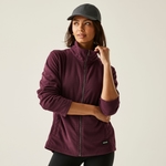 Fig Purple
