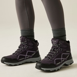 Deep Plum Lilac Frost