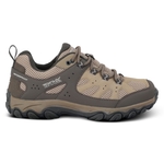 Taupe Beige