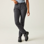 Seal Grey