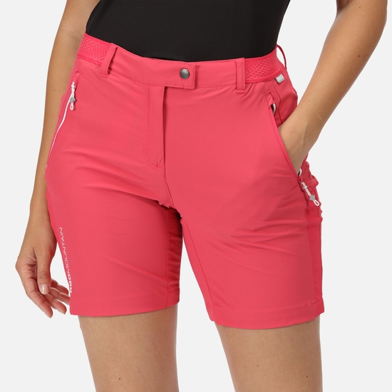 Ladies walking shorts top