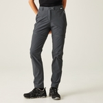 Seal Grey 
