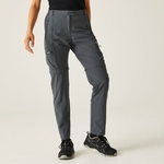 Seal Grey