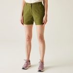 olive verte