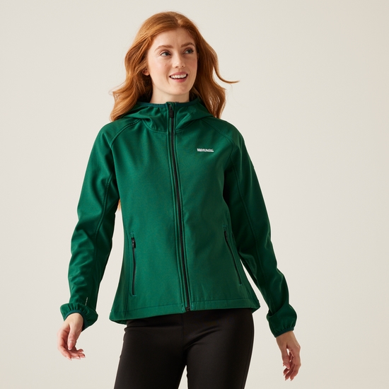 Arec III Femme Veste de marche à capuche coupe-vent softshell Vert