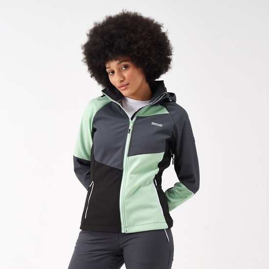 Women's Desoto IX Softshell Jacket Quiet Green Seal Grey