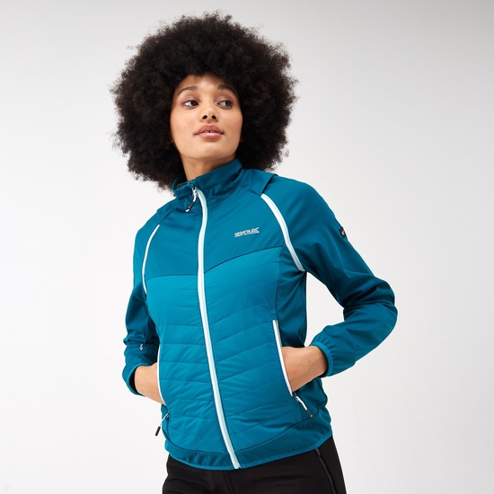 Women's Steren Hybrid Jacket Gulfstream