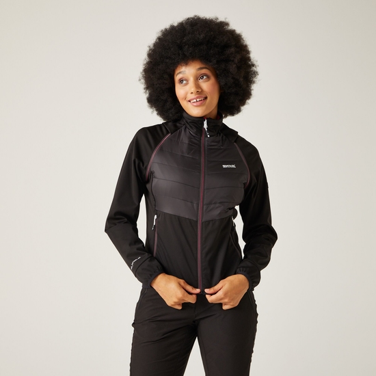 Women's Steren II Hybrid Jacket Black Flamingo Pink