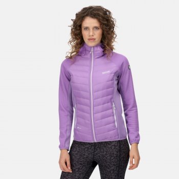 Women's Andreson VI Hybrid Insulated Quilted Jacket Light Amethys