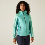 Aruba Blue Turquoise