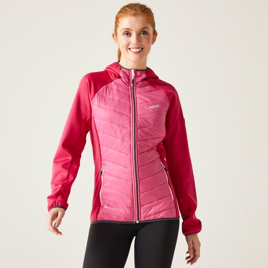 Women's Andreson VIII Hybrid Jacket Flamingo Pink/Pink Potion (Seal Grey)