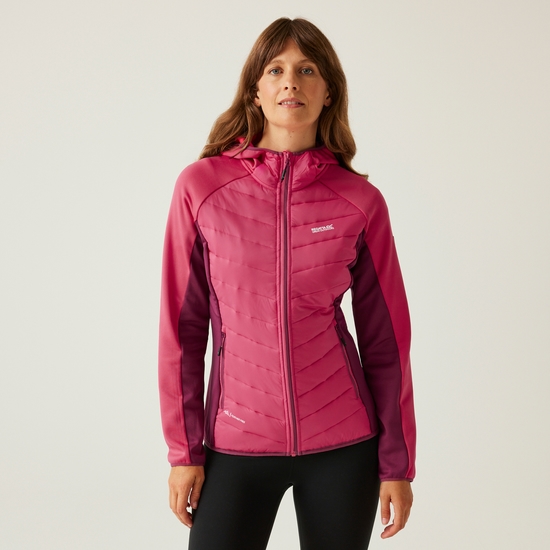 Women's Andreson VIII Hybrid Jacket Pop/Beaujolais