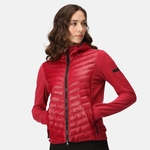 Rumba Red Black