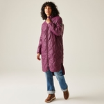 Fig Purple