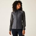 Seal Grey
