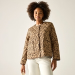 Abstract Leopard Spot