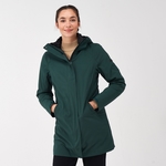Darkest Spruce Black