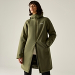 Olive Night