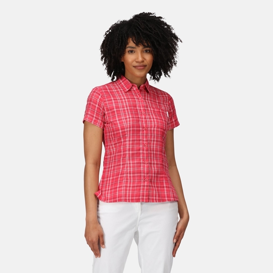 Women's Mindano VI Short Sleeve Shirt Tropical Pink Check