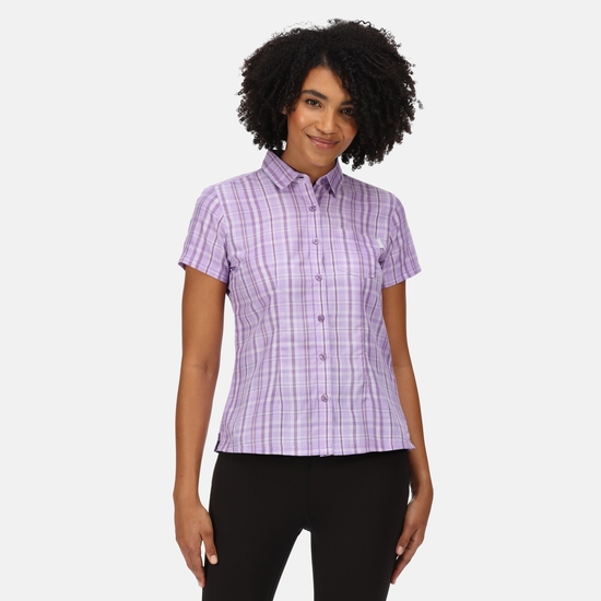 Women's Mindano VI Short Sleeve Shirt Pastel Lilac Check