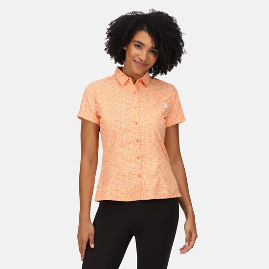 Mindano VI Femme chemise manches courtes Orange