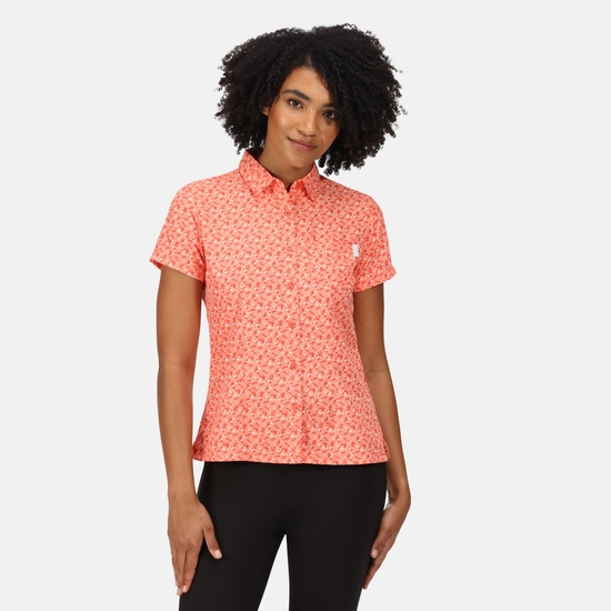 Women's Mindano VI Short Sleeve Shirt Fusion Coral Ditsy