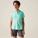 Icy Morn Meadow Print