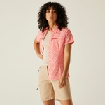 Light Vanilla Floral Print