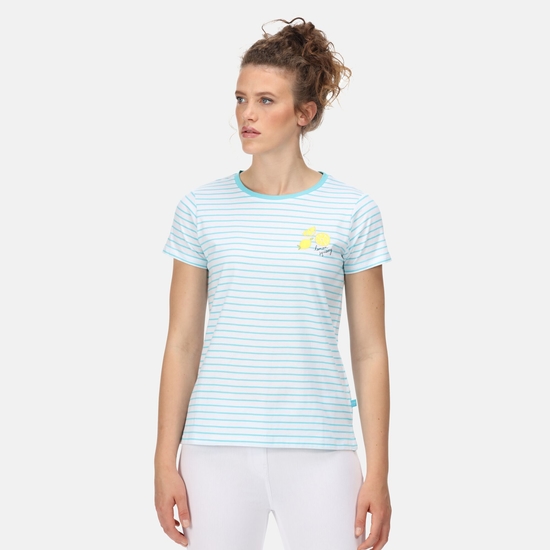 Women's Odalis Stripe T-Shirt Seascape Stripe