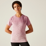 Lilas Ombre