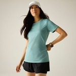 Verde Ivy Moss