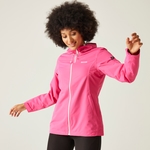 Flamingo Pink