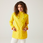 Maize Yellow