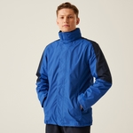 Royal Blue Navy